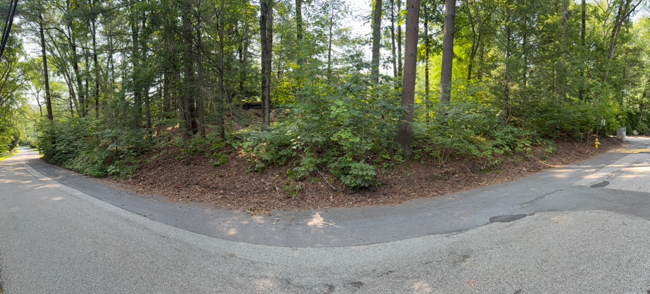A school property before and after hand removal of poison ivy